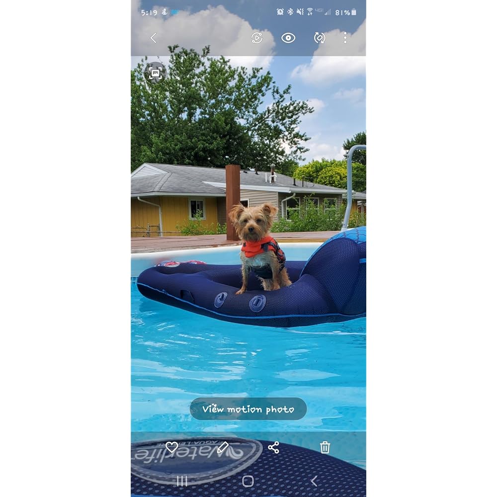 waterlife Ultimate Sunshade Recliner Fabric mesh Covered Pool Lounge